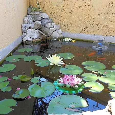 Casa Gagliardi Hotel 2*