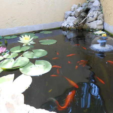 Hotel Hotel Casa Gagliardi